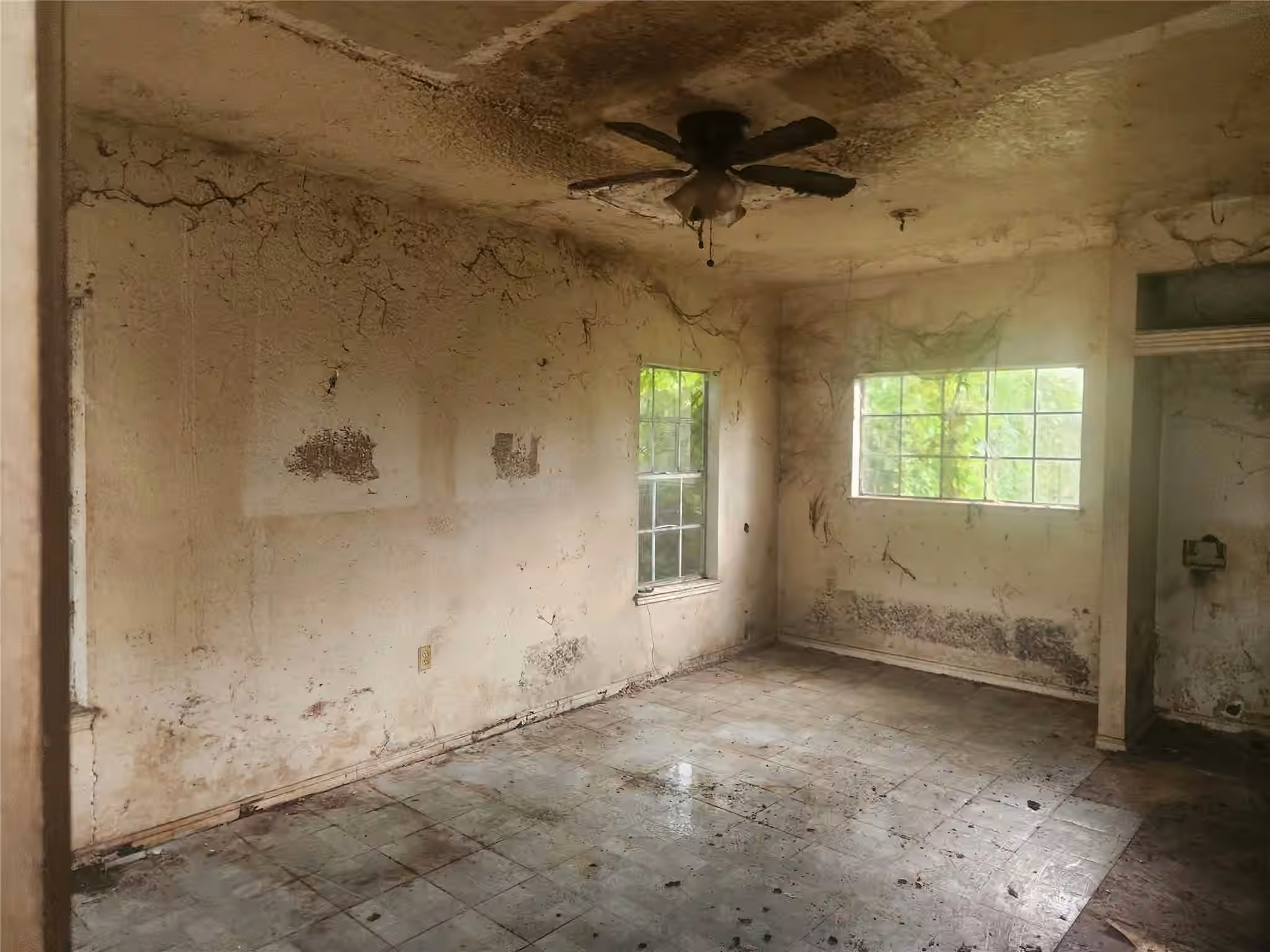 Photo 6 of 10517 Wicklowe Street, Houston, TX
