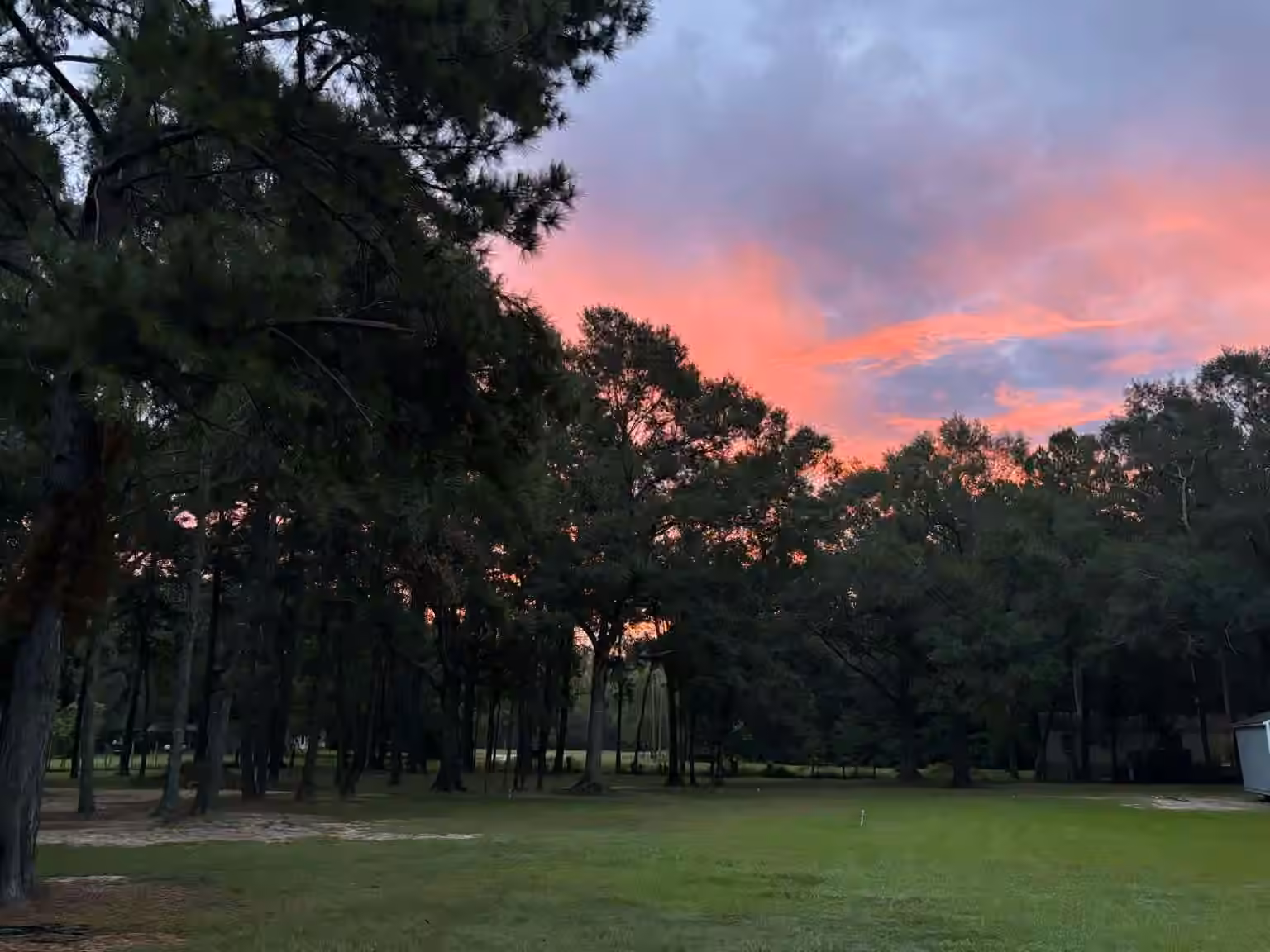 Photo 6 of 1166 County Road 3663, Splendora, TX