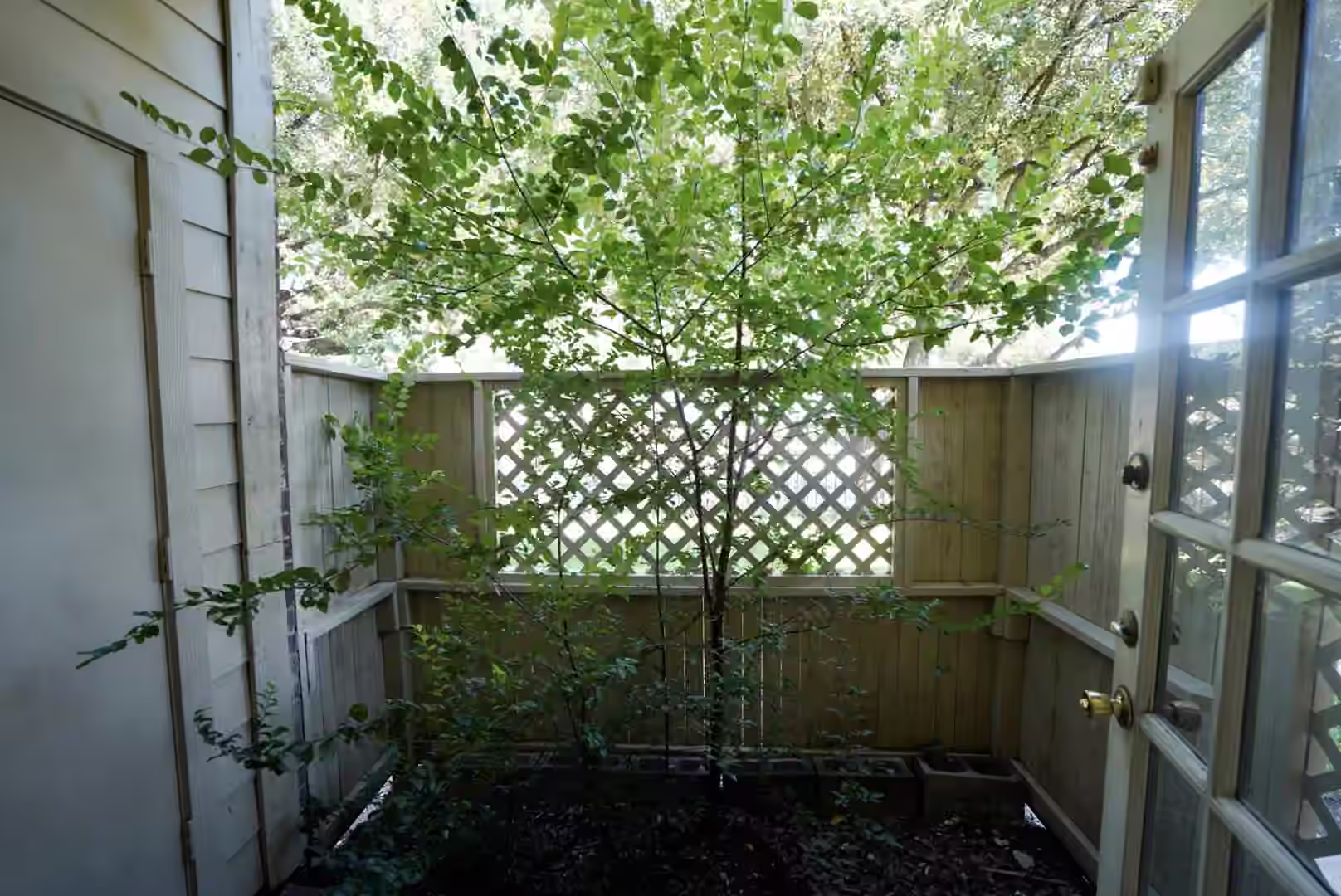 Photo 5 of 2121 El Paseo Street 2209, Houston, TX