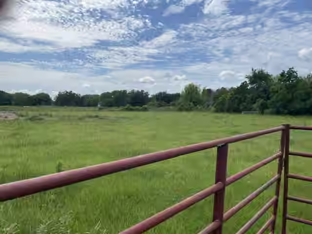 Photo 3 of 6755 Pitts Road, Katy, TX