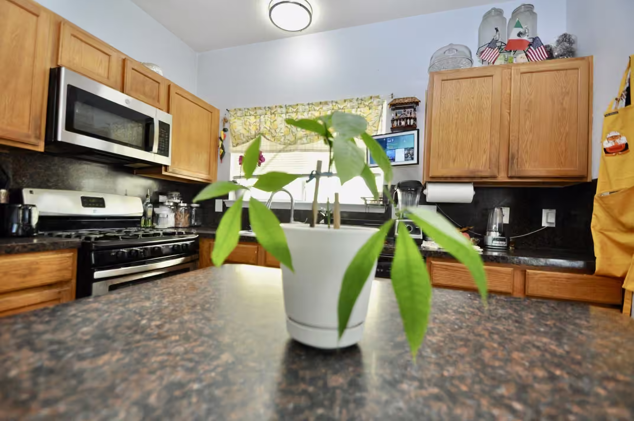 Photo 6 of 11750 Jelicoe Drive, Houston, TX