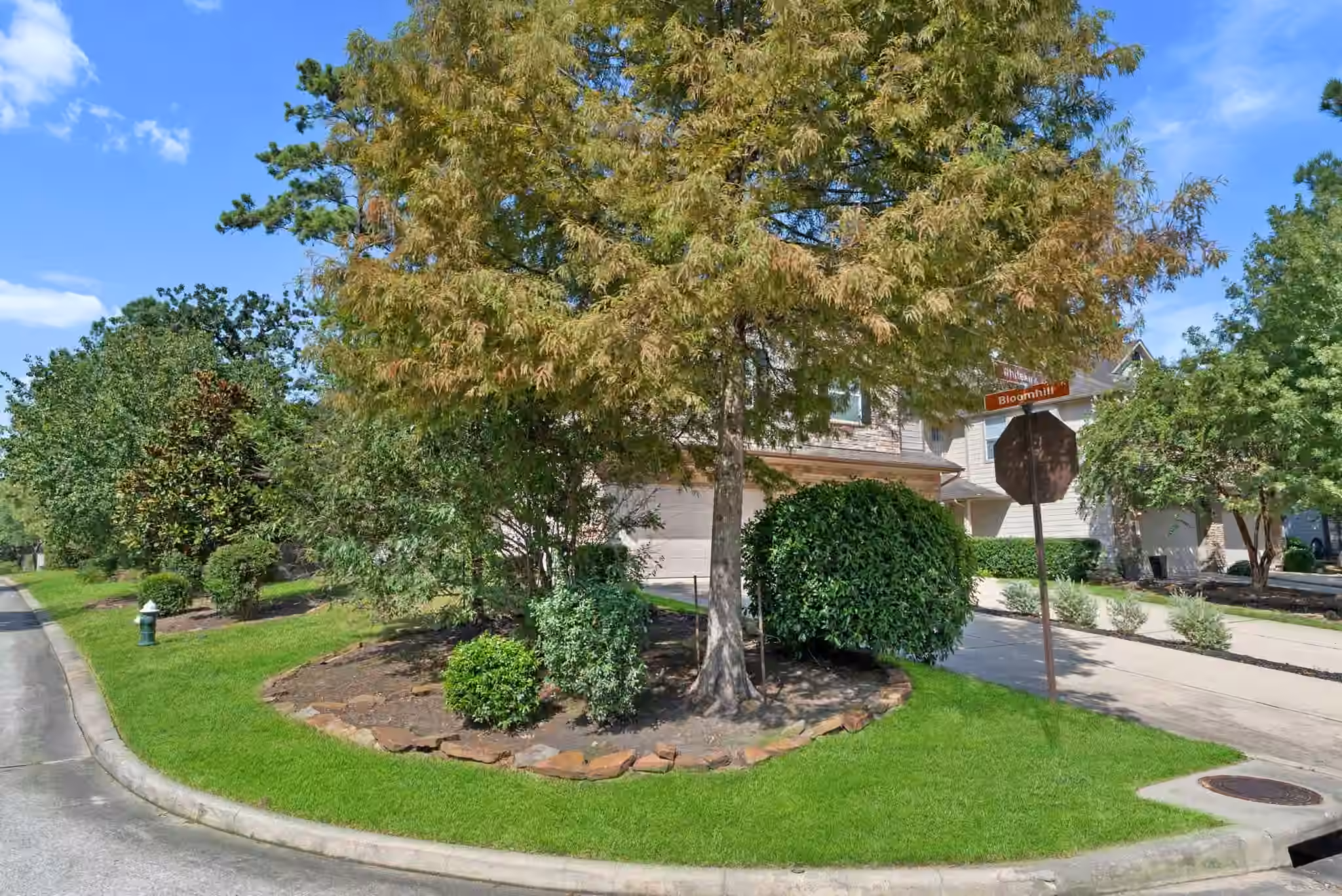 Photo 3 of 46 Whitekirk Place, Magnolia, TX