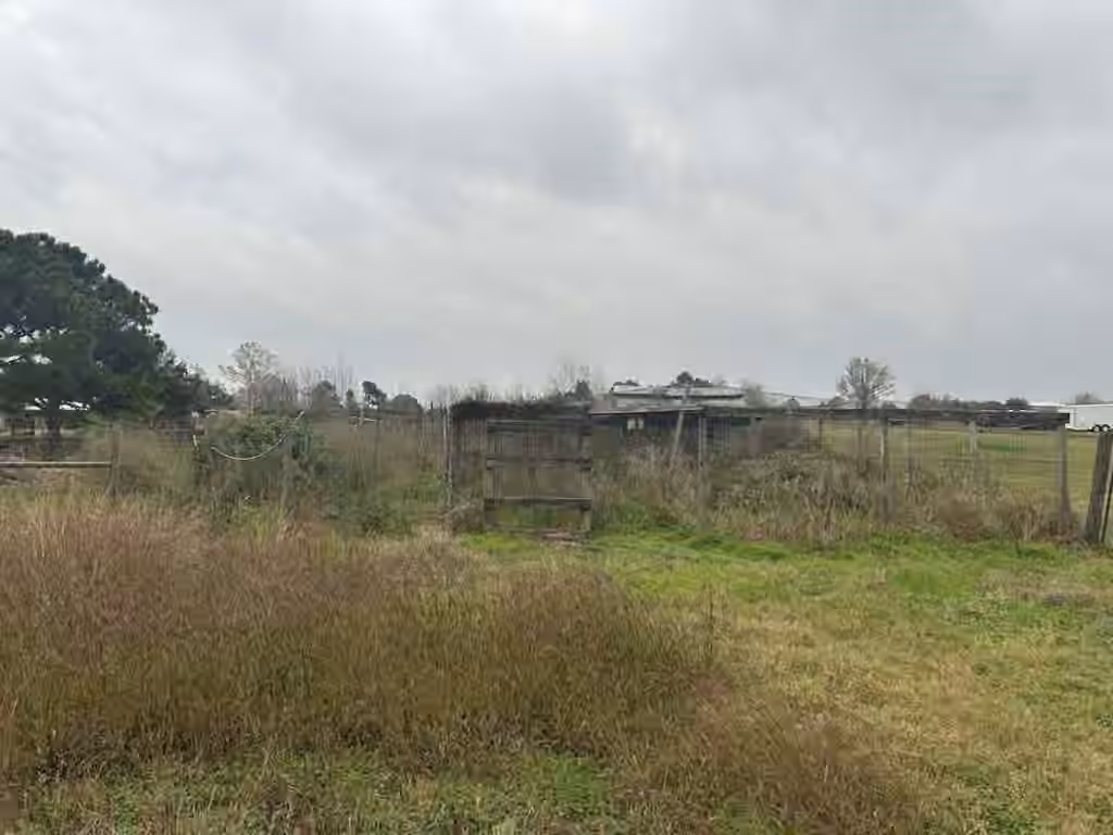 Photo 6 of 6430 Brockstein Road, Sealy, TX