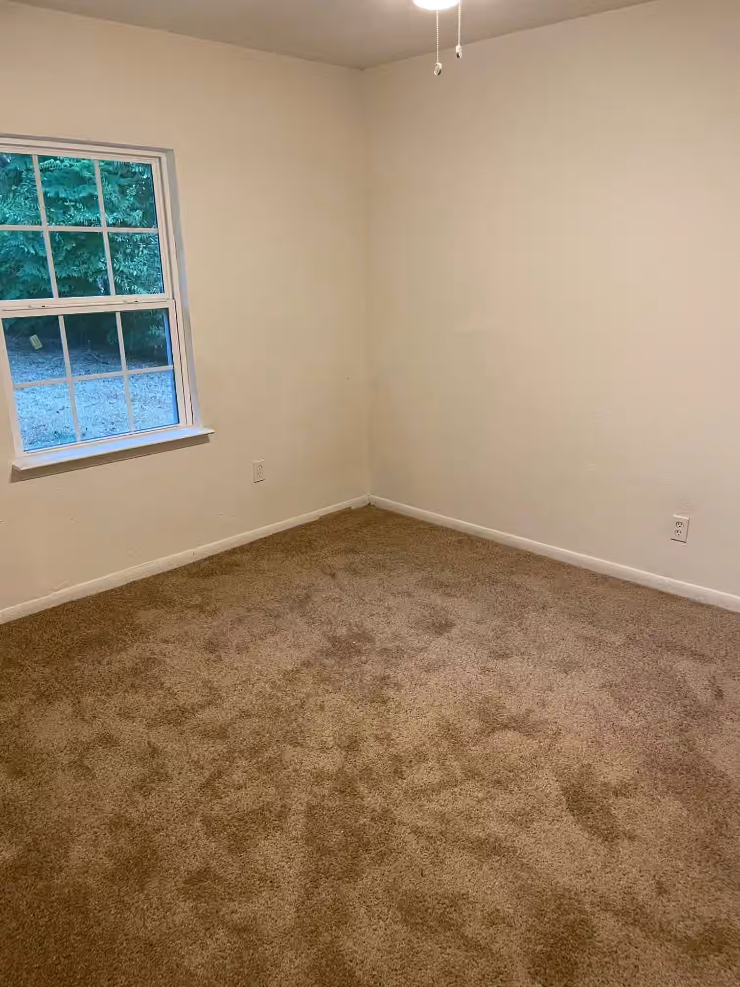 Photo 5 of 5225 Anzio Road, Houston, TX