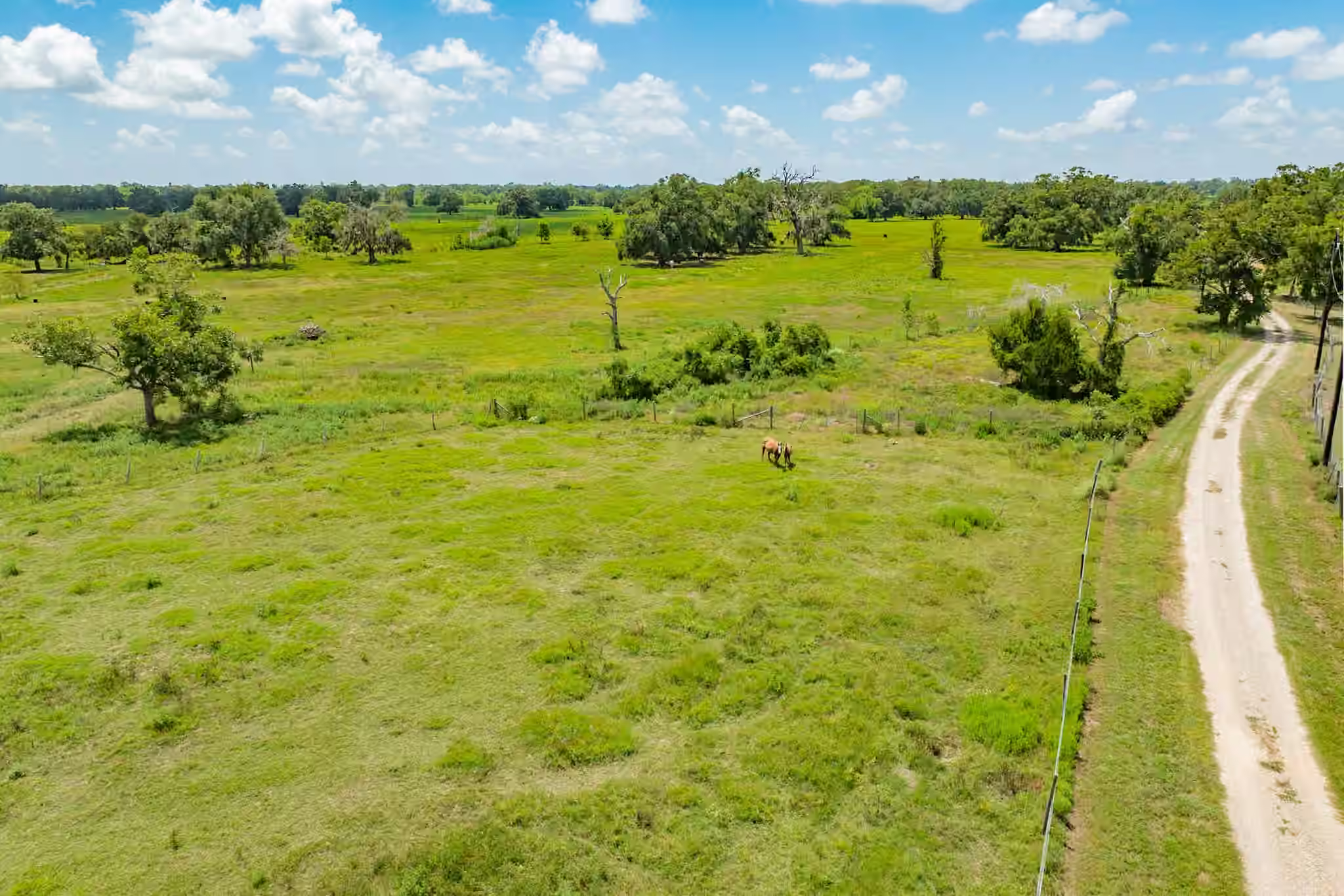 Photo 5 of 438 County Road 164, Cedar Lane, TX