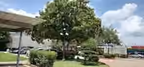 Photo 3 of 9797 Leawood Boulevard 206, Houston, TX