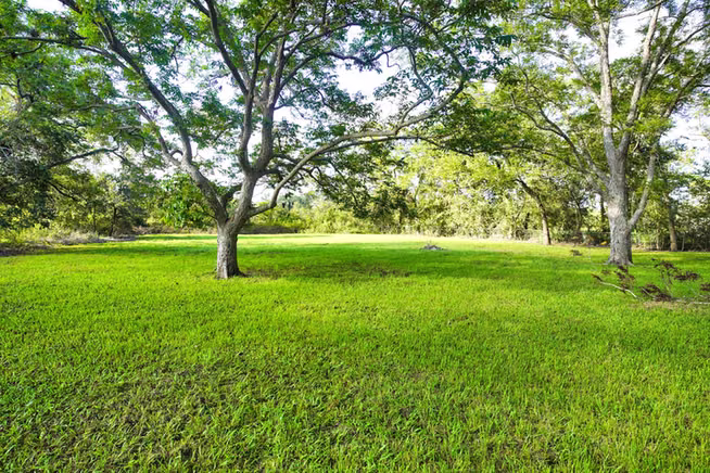 Photo 5 of 1203 County Road 677, Brazoria, TX