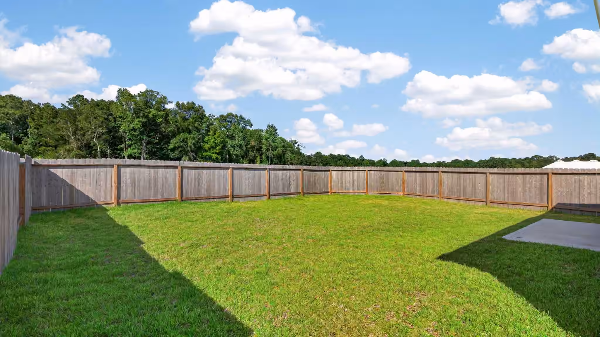 Photo 5 of 13579 Bay Springs Drive, Conroe, TX