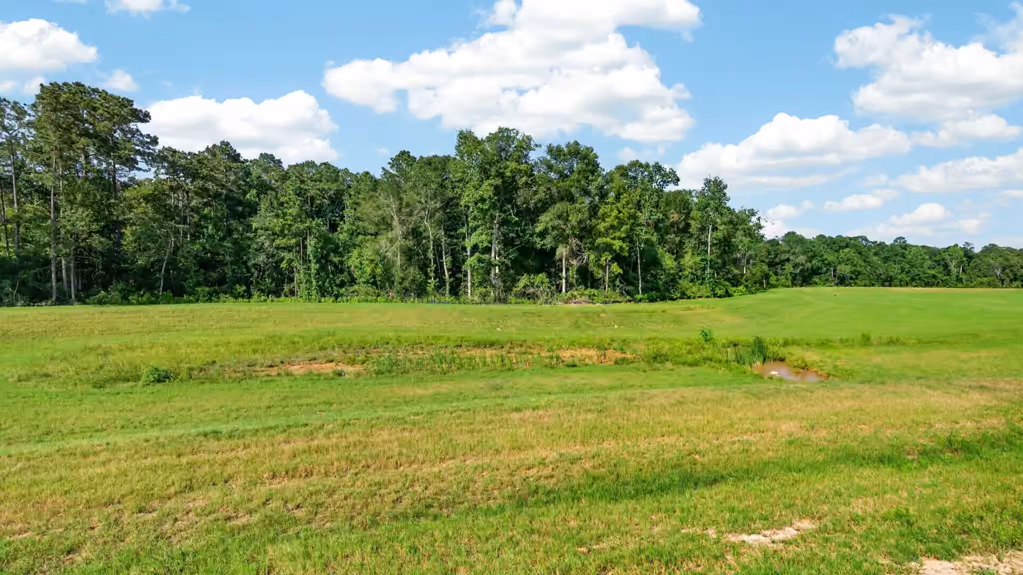 Photo 7 of 13579 Bay Springs Drive, Conroe, TX