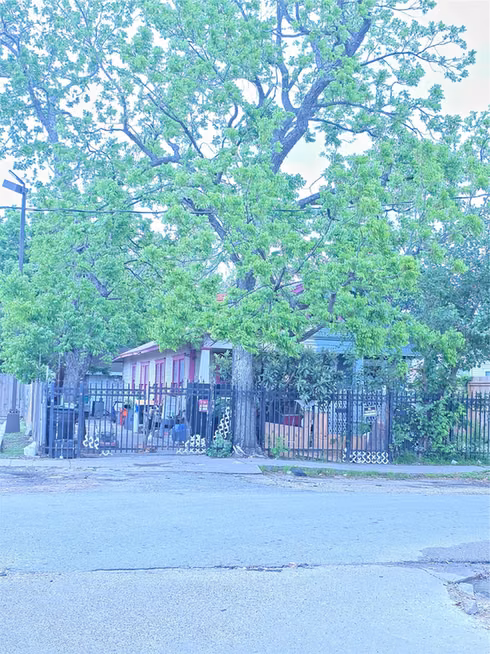 Photo 5 of 1006 Panama Street, Houston, TX