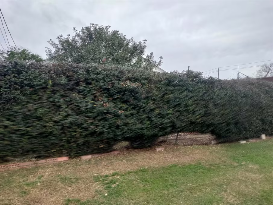 Photo 5 of 2816 Black Street, Houston, TX