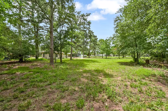 Photo 5 of 19757 Dorris Drive, Magnolia, TX