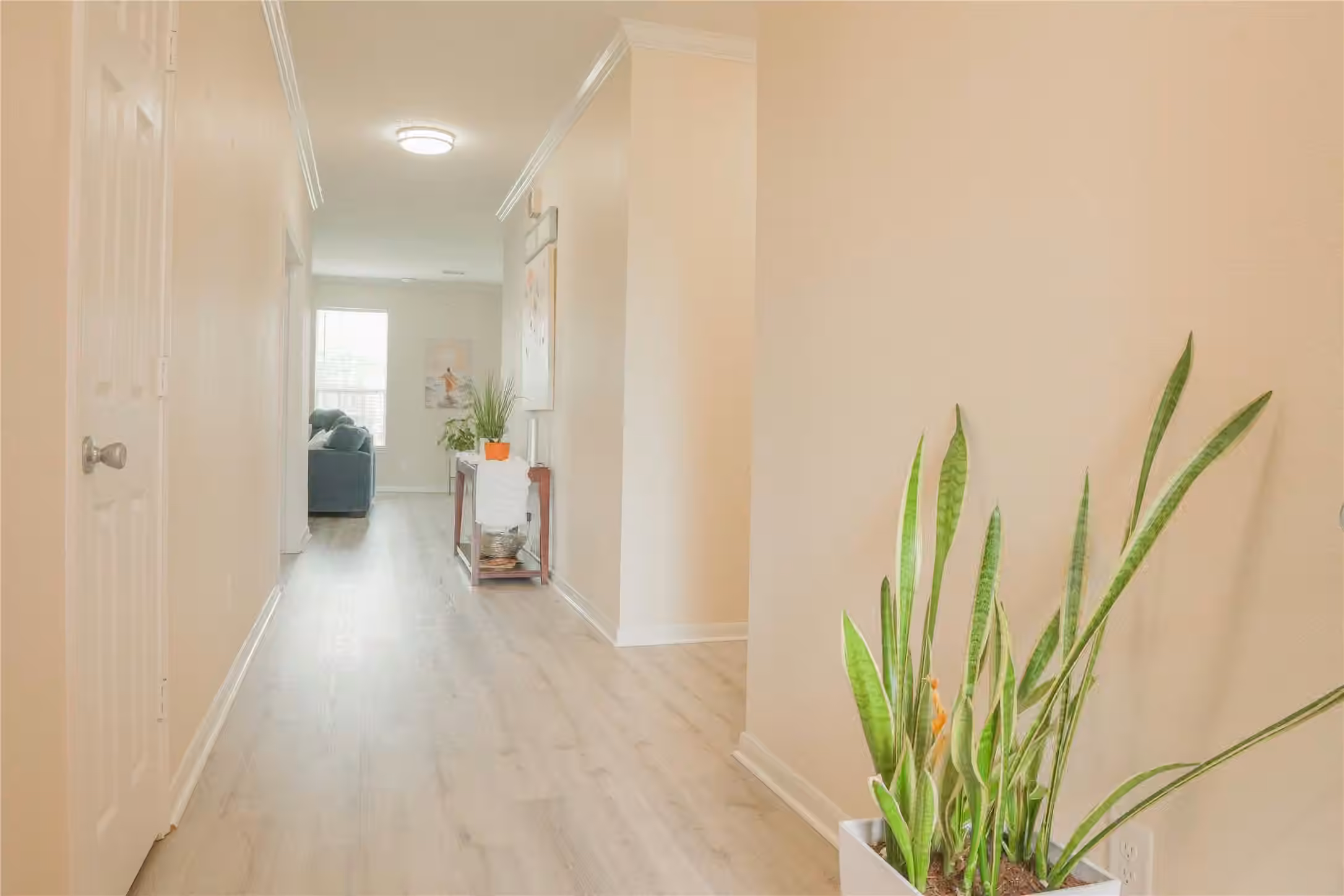 Photo 4 of 21423 Rioja Bluff Lane, Katy, TX