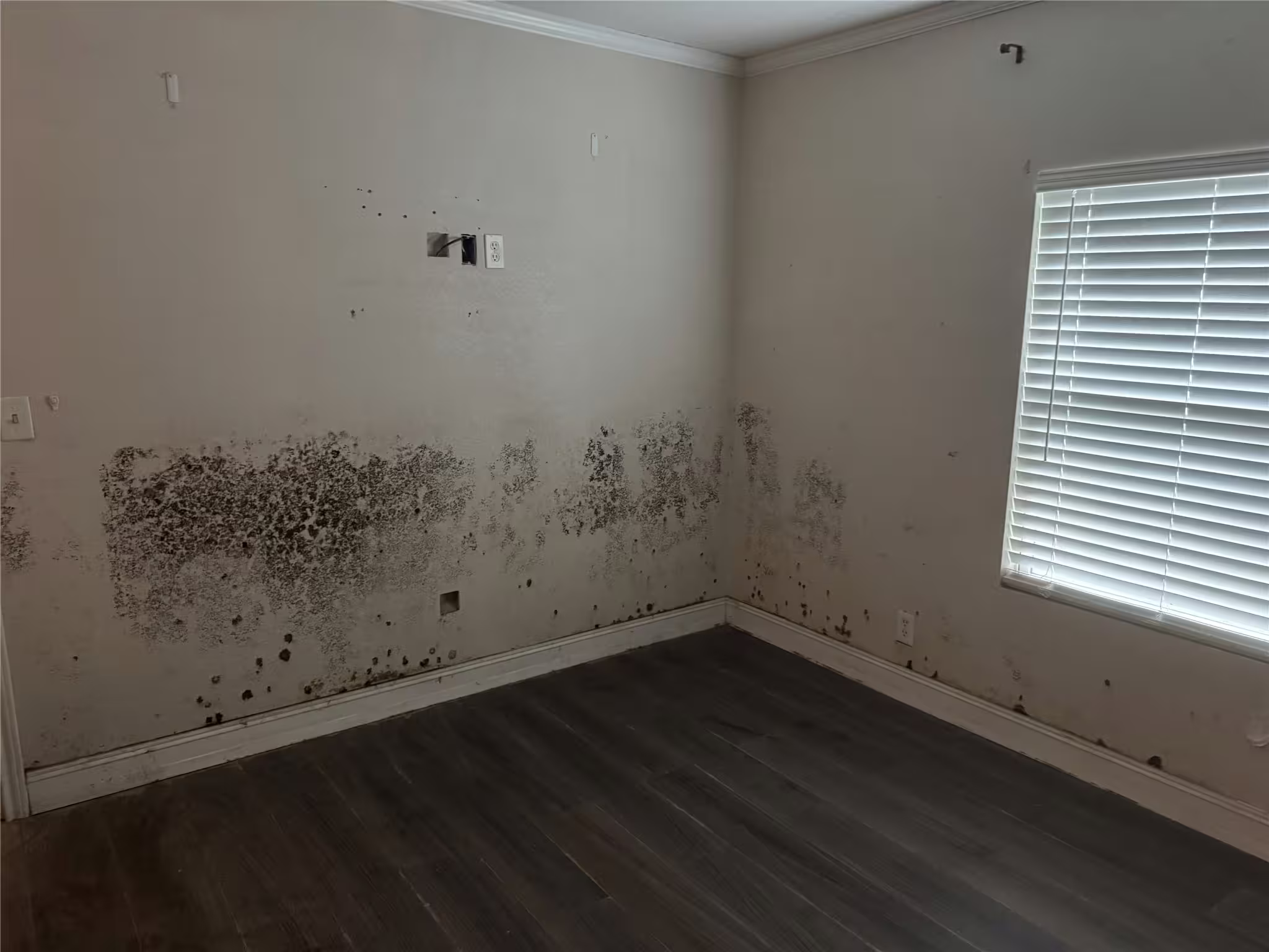 Photo 5 of 1739 County Road 370, Splendora, TX