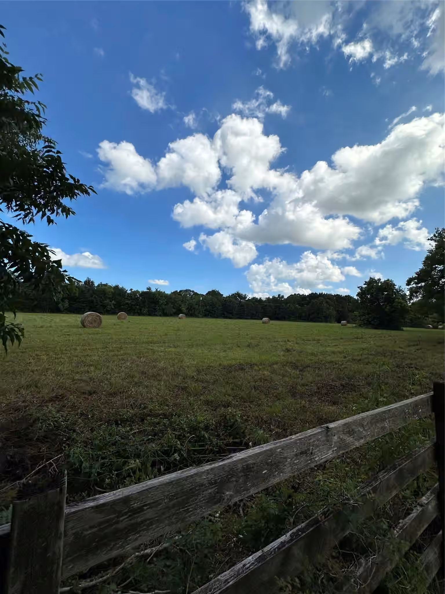 Photo 6 of 1355 County Road 145, Alvin, TX