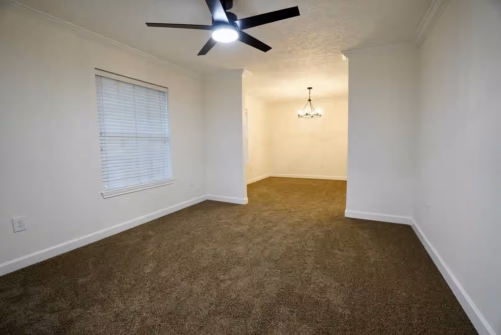 Photo 3 of 3403 Honey Creek Drive, Houston, TX