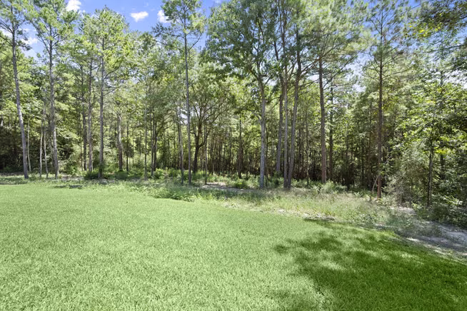 Photo 6 of 130 Sanctuary Road, Huntsville, TX