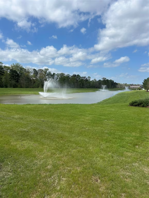 Photo 2 of 21130 Alder Oaks Dr, New Caney, TX
