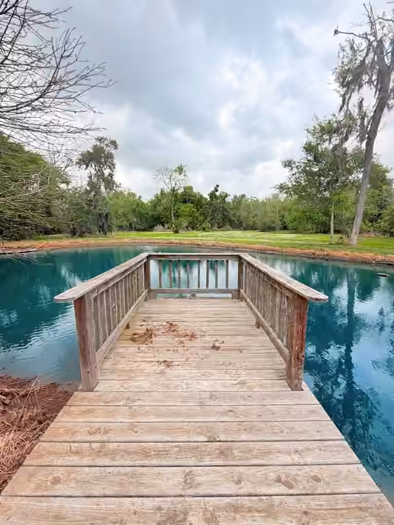 Photo 3 of 2744 County Road 415c, Brazoria, TX