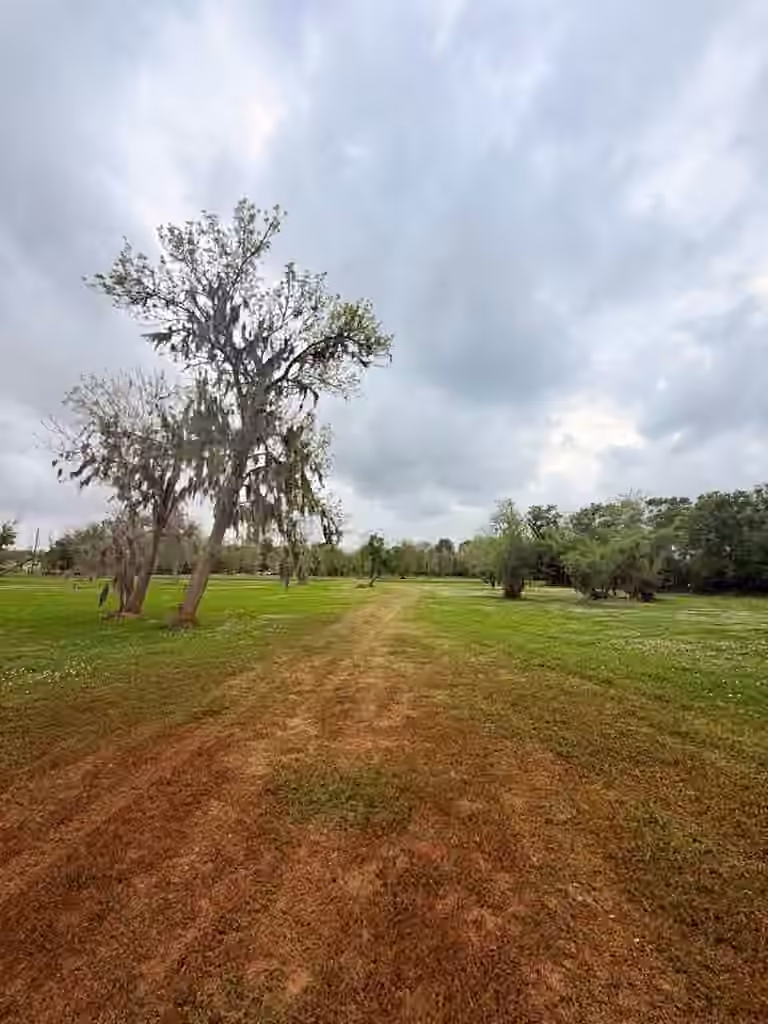 Photo 7 of 2744 County Road 415c, Brazoria, TX