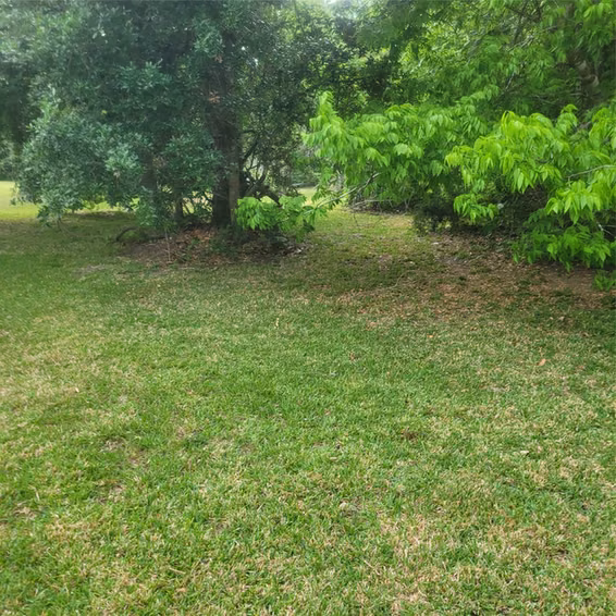 Photo 4 of 6100 Avenue U Street, Santa Fe, TX