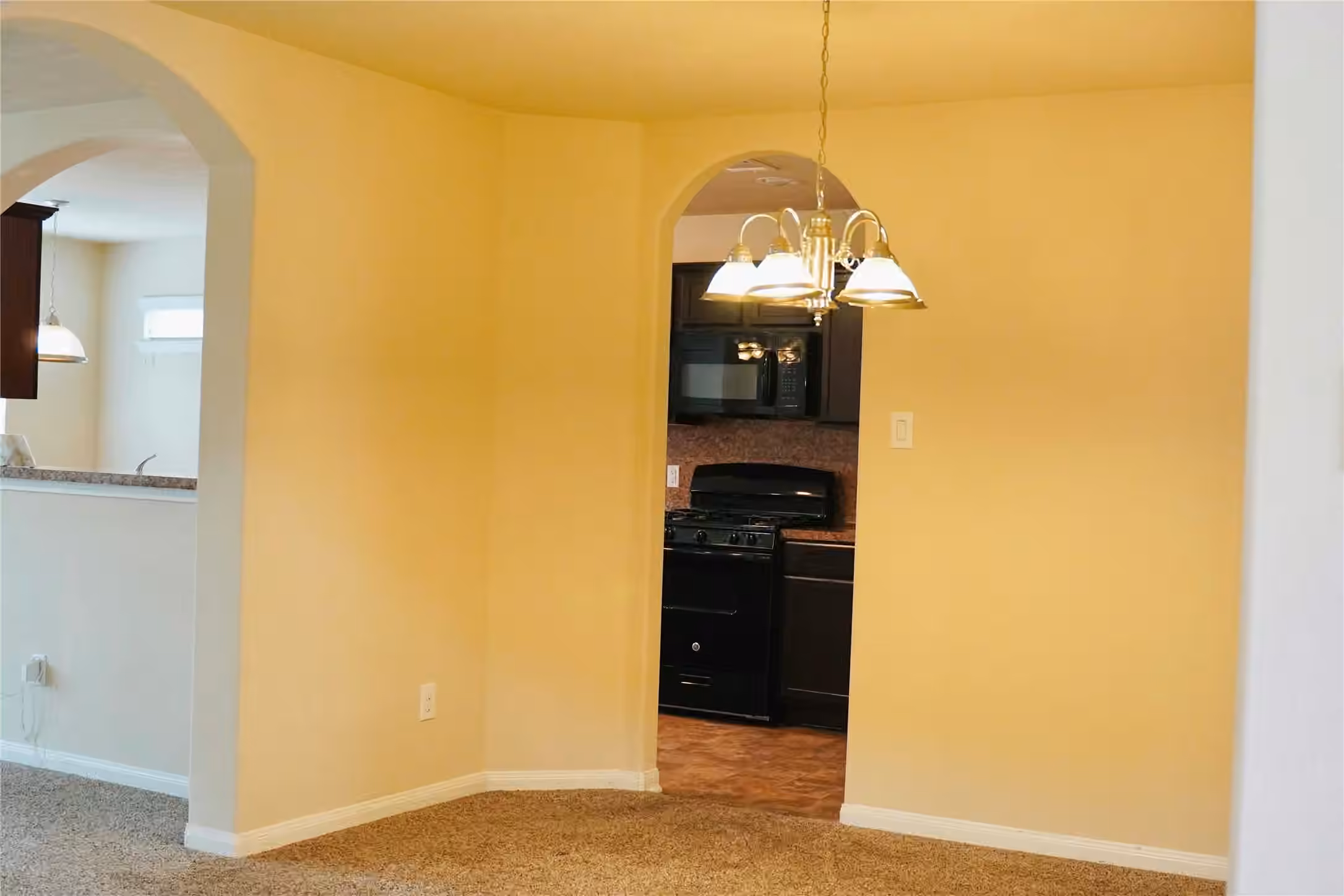 Photo 4 of 10810 Sun River Falls Drive, Humble, TX