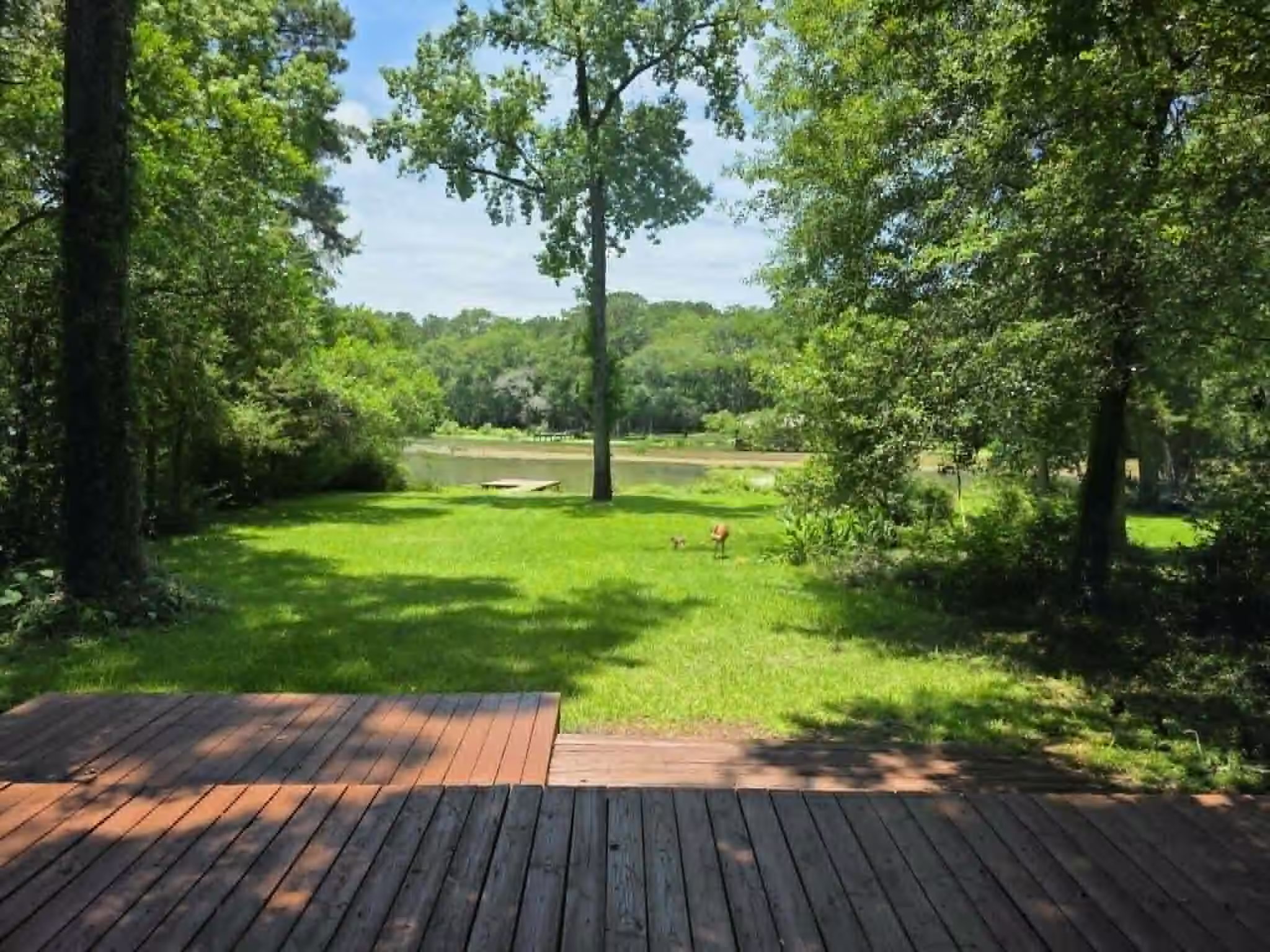 Photo 4 of 8312 Elm Drive, Montgomery, TX