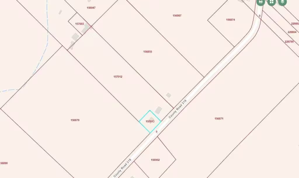 Photo 3 of 1857 County Road 318, Brazoria, TX
