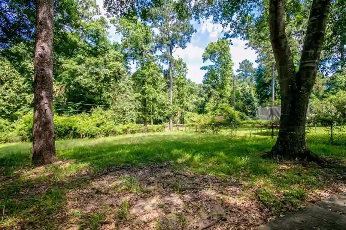 Photo 4 of 24615 Wilderness Road, Spring, TX