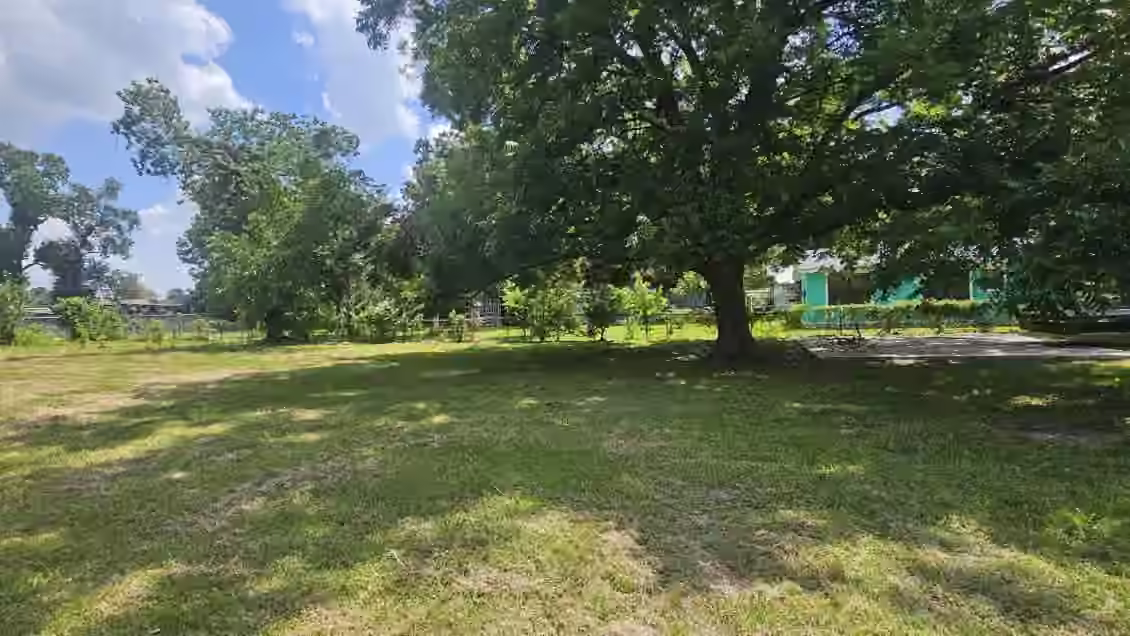 Photo 6 of 8303 Furray Road, Houston, TX