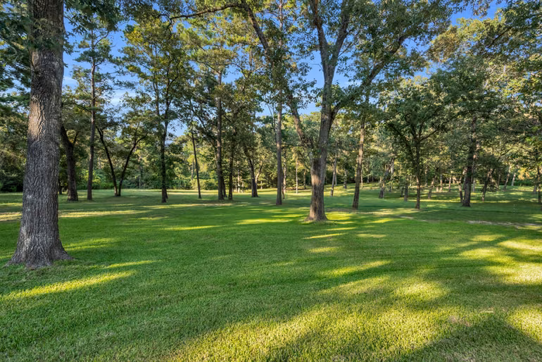 Photo 5 of 10195 Crown Ranch Blvd Boulevard, Montgomery, TX