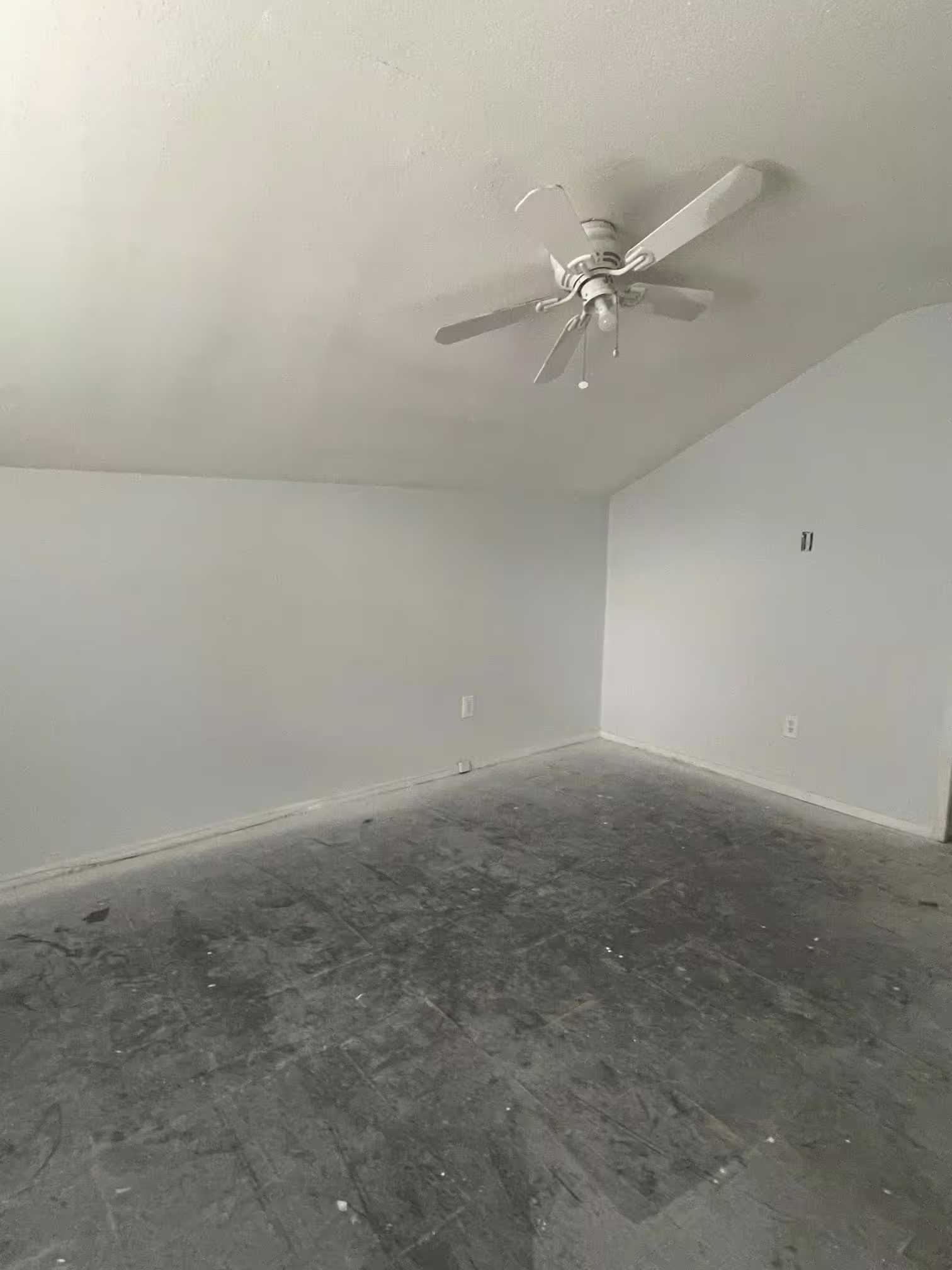 Photo 4 of 12215 Wild Pine Drive C, Houston, TX