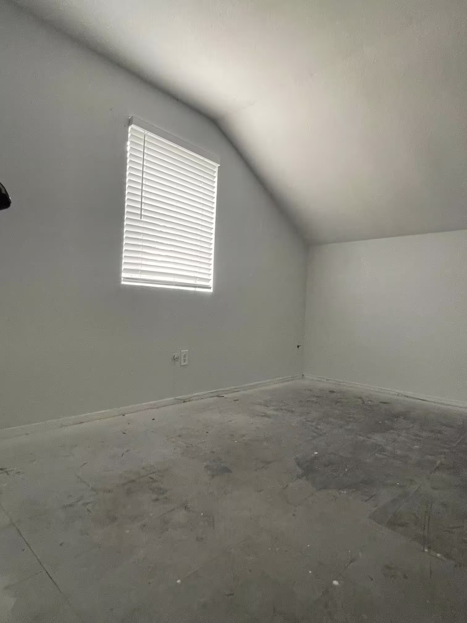 Photo 5 of 12215 Wild Pine Drive C, Houston, TX