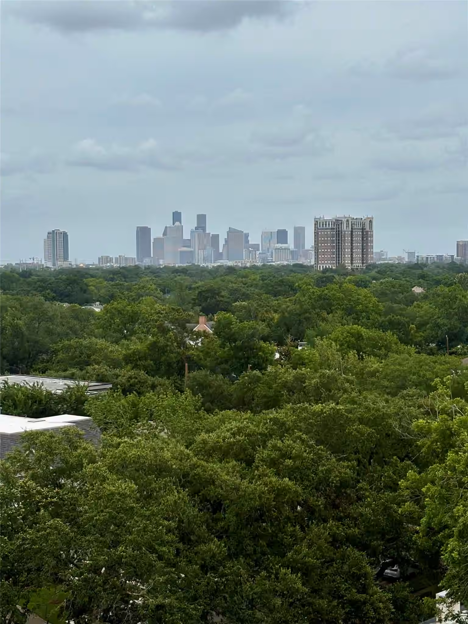 Photo 5 of 2360 RICE BOULEVARD 1103, Houston, TX